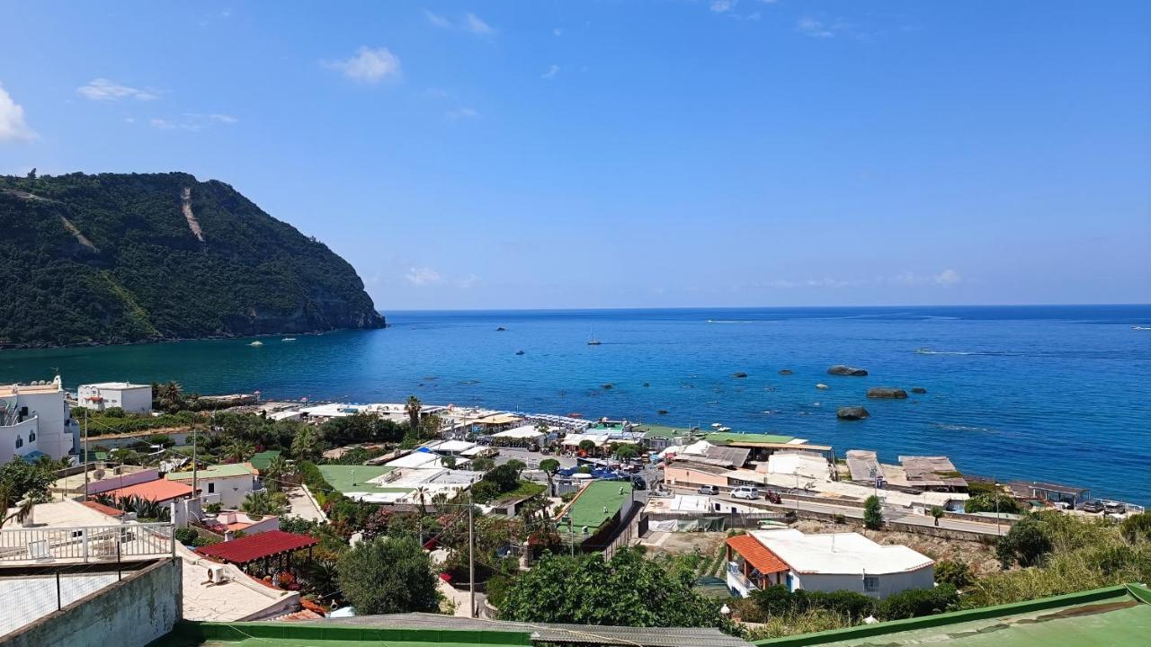 דירות Forio di Ischia La Dea Del Mare מראה חיצוני תמונה